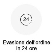 Evasione dell'ordine in 24 ore